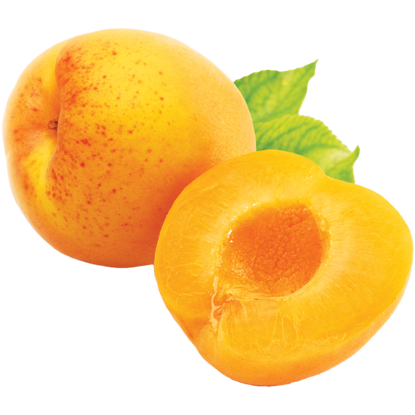 Picture of APRICOT