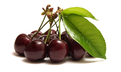 Picture of Black Cherry